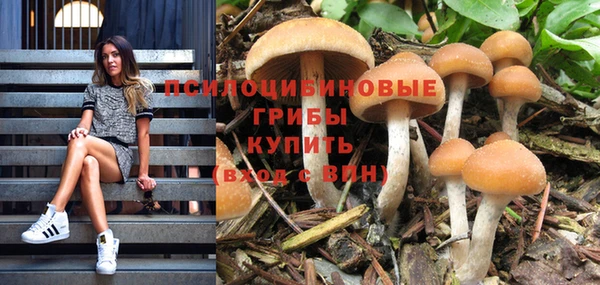 круглые Алексин