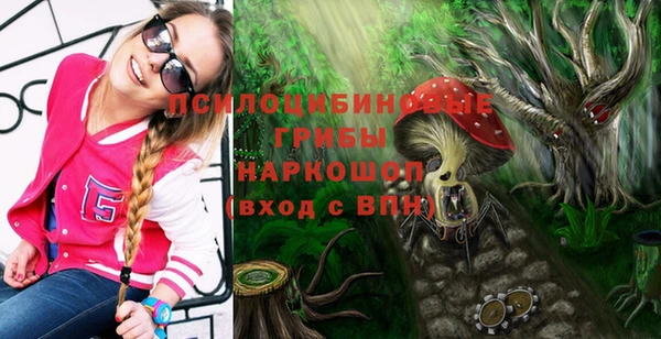 круглые Алексин