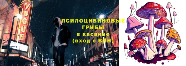 сатива Алзамай