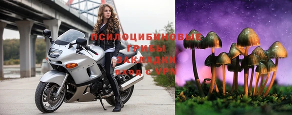 сатива Алзамай