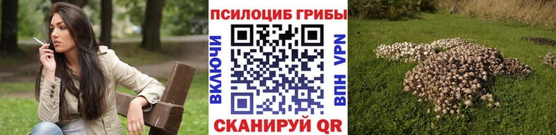 Псилоцибиновые грибы мицелий Чадан